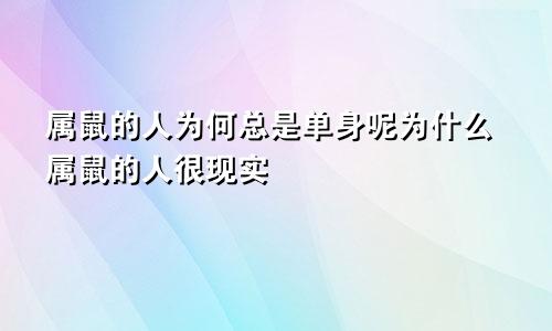 属鼠的人为何总是单身呢为什么属鼠的人很现实
