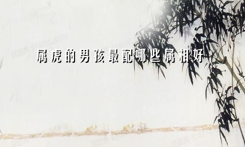 属虎的男孩最配哪些属相好