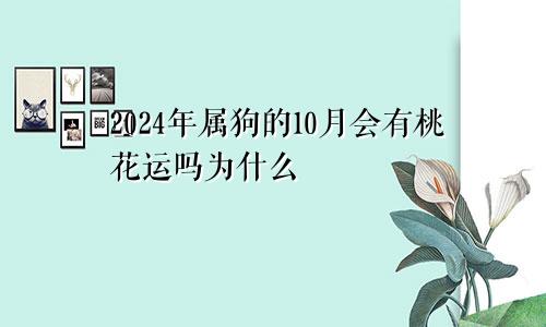 2024年属狗的10月会有桃花运吗为什么