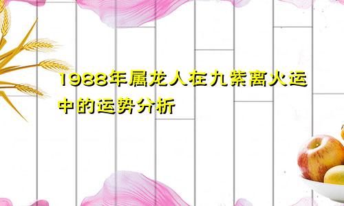 1988年属龙人在九紫离火运中的运势分析
