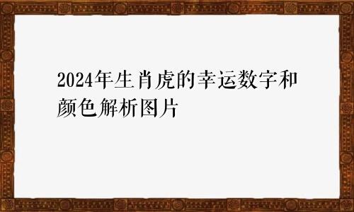 2024年生肖虎的幸运数字和颜色解析图片
