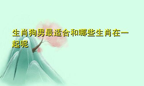 生肖狗男最适合和哪些生肖在一起呢
