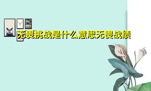 无畏挑战是什么意思无畏战绩