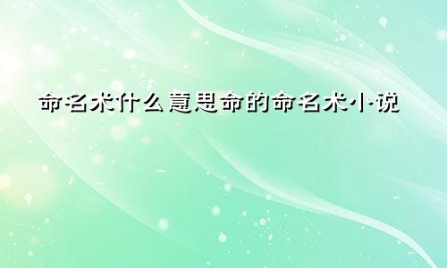 命名术什么意思命的命名术小说