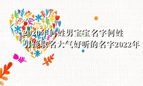 2020年何姓男宝宝名字何姓男孩取名大气好听的名字2022年