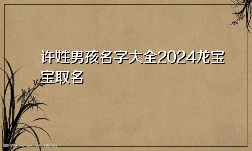 许姓男孩名字大全2024龙宝宝取名