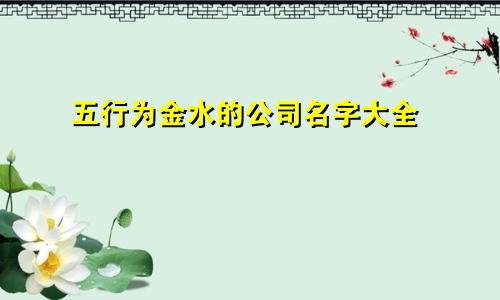 五行为金水的公司名字大全