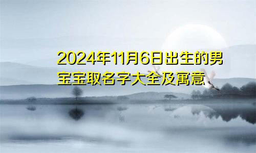 2024年11月6日出生的男宝宝取名字大全及寓意