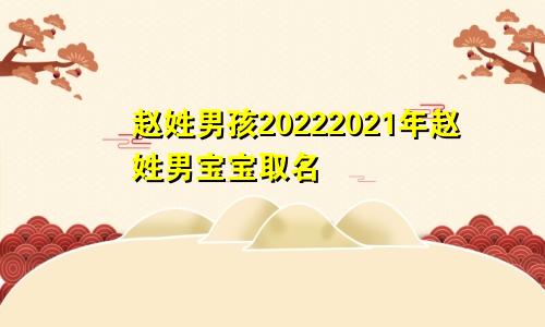赵姓男孩20222021年赵姓男宝宝取名