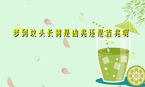 梦到坟头长树是凶兆还是吉兆呢