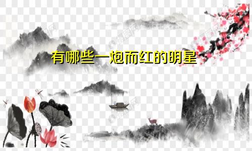 有哪些一炮而红的明星