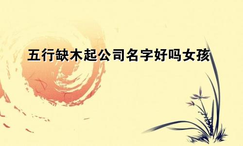 五行缺木起公司名字好吗女孩