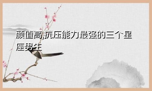 颜值高,抗压能力最强的三个星座男生