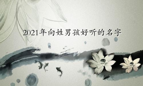 2021年向姓男孩好听的名字