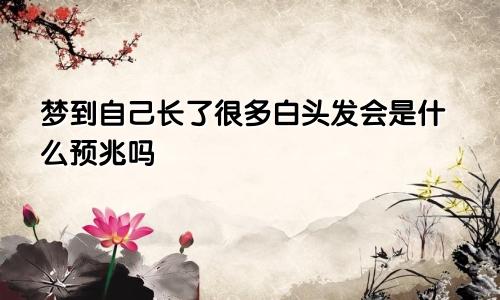梦到自己长了很多白头发会是什么预兆吗