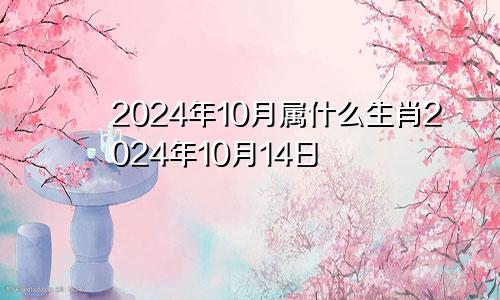 2024年10月属什么生肖2024年10月14日