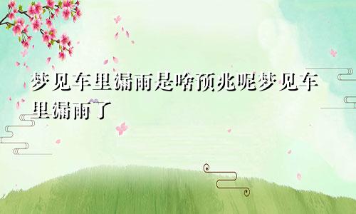 梦见车里漏雨是啥预兆呢梦见车里漏雨了