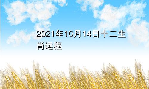 2021年10月14日十二生肖运程