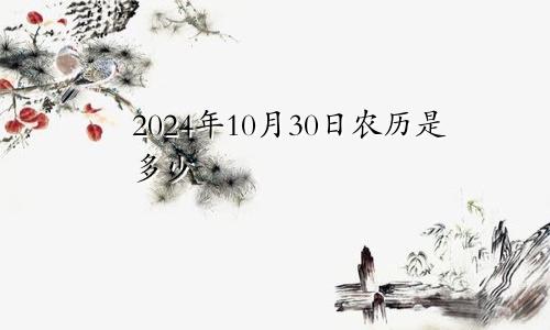 2024年10月30日农历是多少