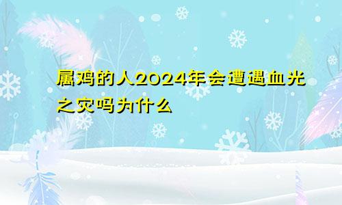 属鸡的人2024年会遭遇血光之灾吗为什么