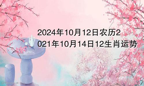 2024年10月12日农历2021年10月14日12生肖运势