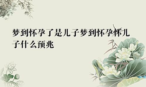 梦到怀孕了是儿子梦到怀孕怀儿子什么预兆