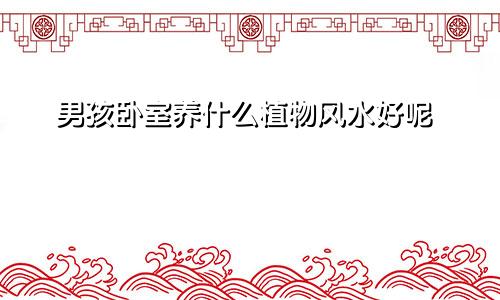 男孩卧室养什么植物风水好呢
