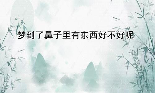 梦到了鼻子里有东西好不好呢