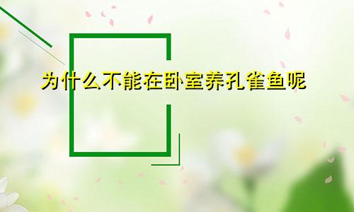 为什么不能在卧室养孔雀鱼呢