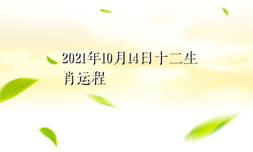 2021年10月14日十二生肖运程