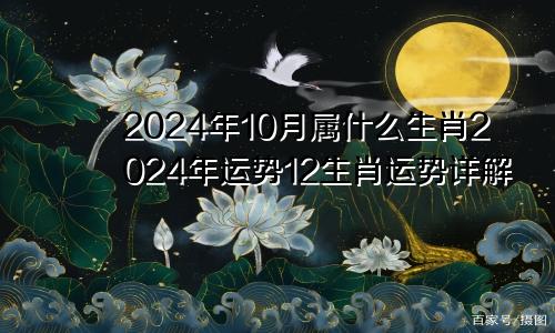 2024年10月属什么生肖2024年运势12生肖运势详解