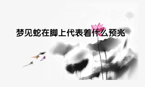 梦见蛇在脚上代表着什么预兆