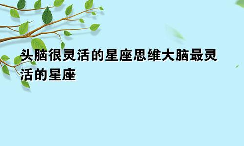 头脑很灵活的星座思维大脑最灵活的星座