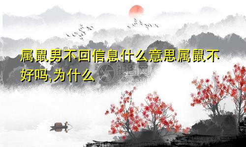 属鼠男不回信息什么意思属鼠不好吗,为什么