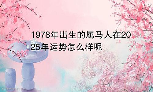 1978年出生的属马人在2025年运势怎么样呢