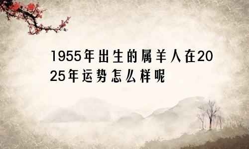 1955年出生的属羊人在2025年运势怎么样呢