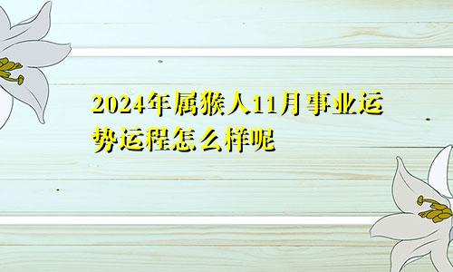 2024年属猴人11月事业运势运程怎么样呢