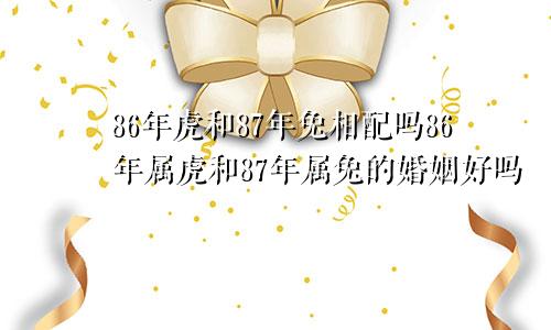 86年虎和87年兔相配吗86年属虎和87年属兔的婚姻好吗