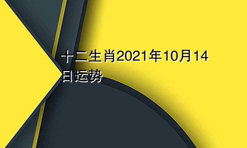 十二生肖2021年10月14日运势