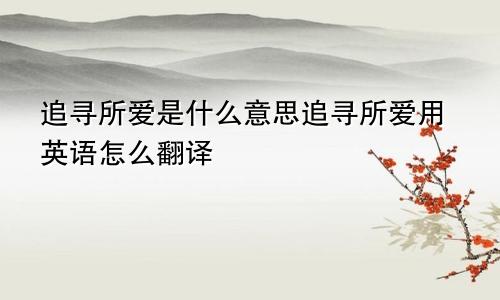 追寻所爱是什么意思追寻所爱用英语怎么翻译
