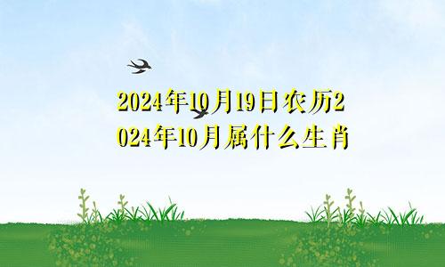 2024年10月19日农历2024年10月属什么生肖