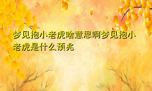 梦见抱小老虎啥意思啊梦见抱小老虎是什么预兆