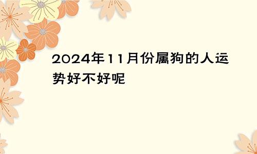 2024年11月份属狗的人运势好不好呢