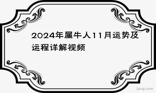 2024年属牛人11月运势及运程详解视频