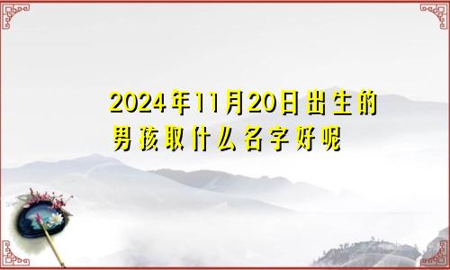 2024年11月20日出生的男孩取什么名字好呢