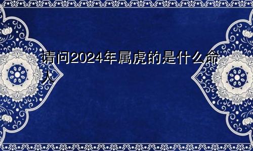 请问2024年属虎的是什么命人