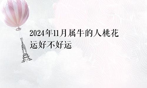 2024年11月属牛的人桃花运好不好运