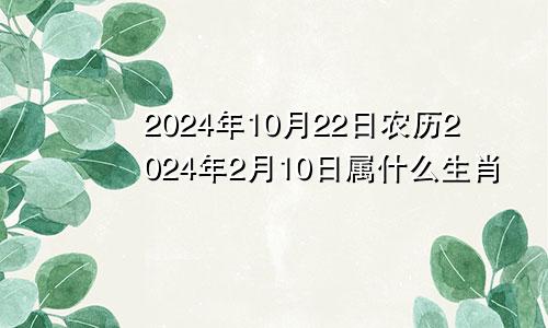 2024年10月22日农历2024年2月10日属什么生肖