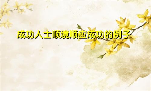 成功人士顺境顺应成功的例子