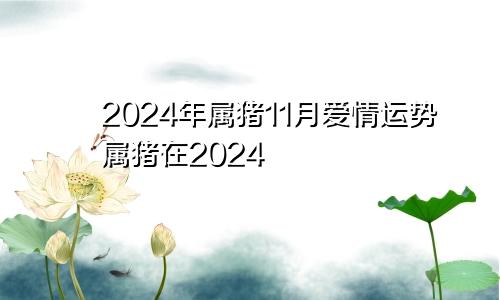 2024年属猪11月爱情运势属猪在2024